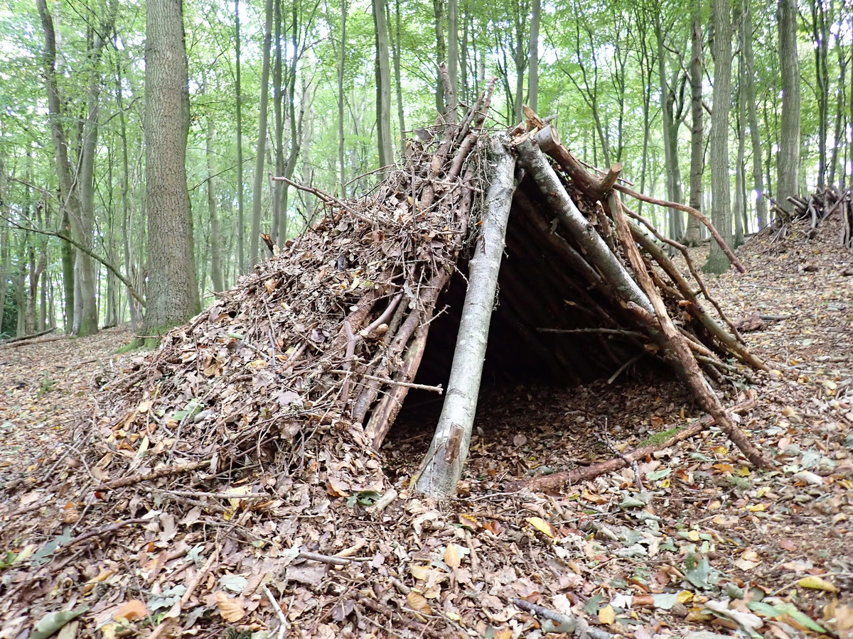 Bushcraft leaf shelter